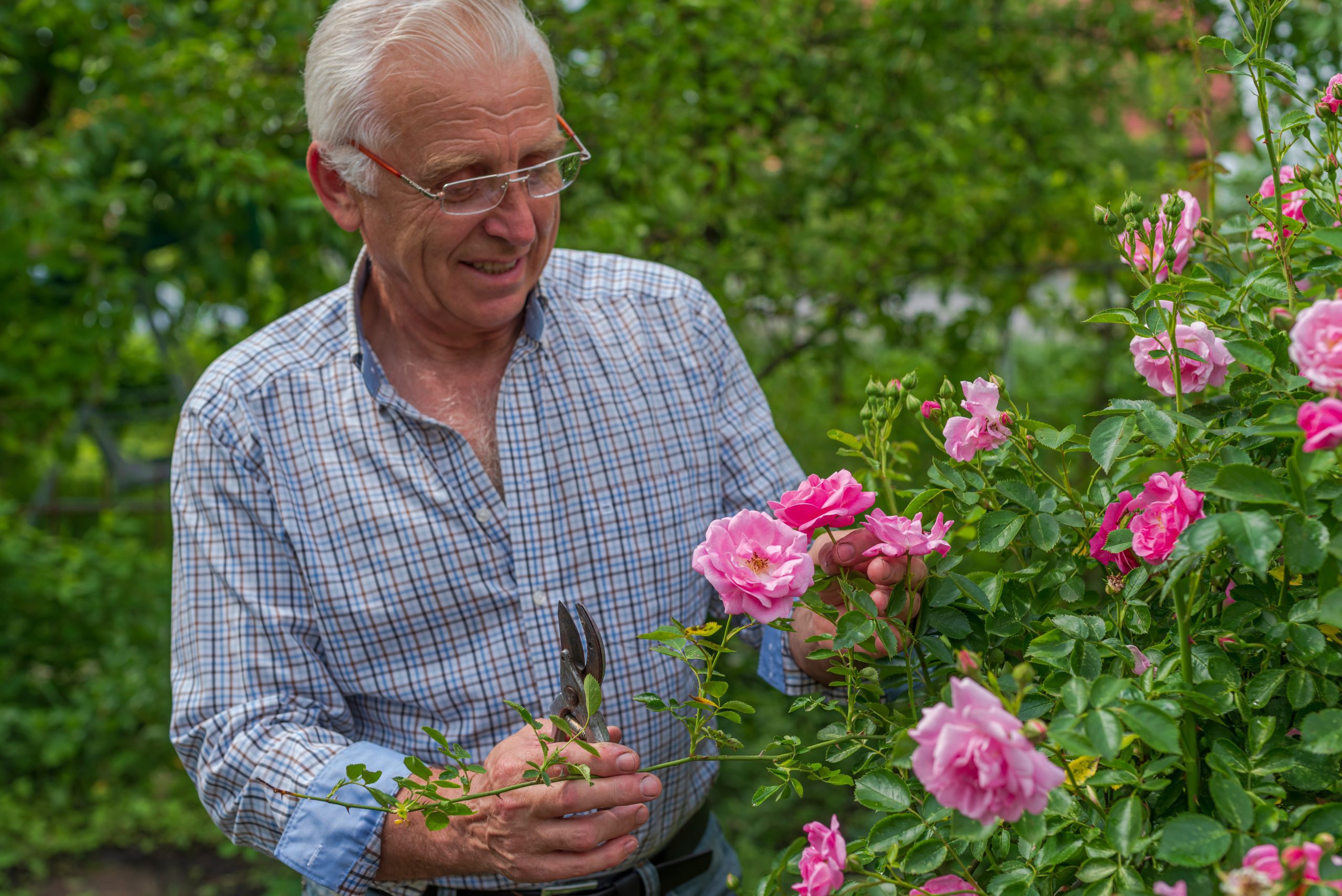 Benefits of Spring Gardening for Seniors